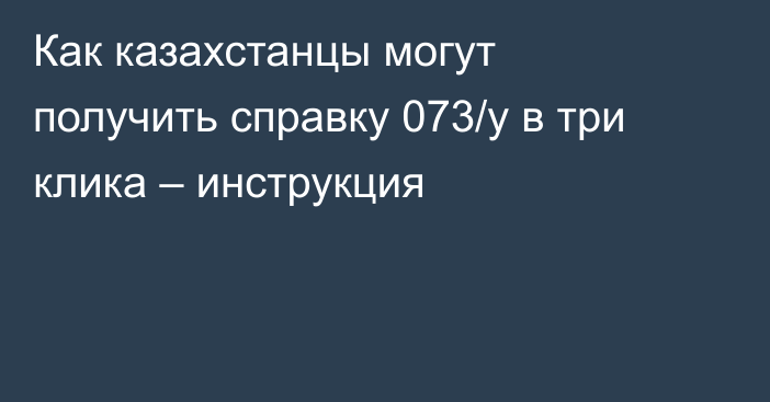 Как казахстанцы могут получить справку 073/у в три клика – инструкция