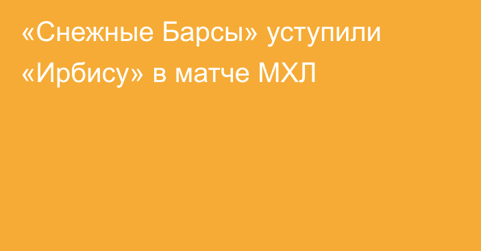 «Снежные Барсы» уступили «Ирбису» в матче МХЛ