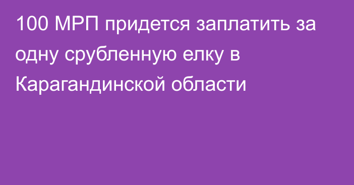 100 МРП придется заплатить за одну срубленную елку в Карагандинской области