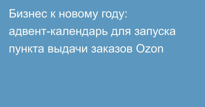 Бизнес к новому году: адвент-календарь для запуска пункта выдачи заказов Ozon