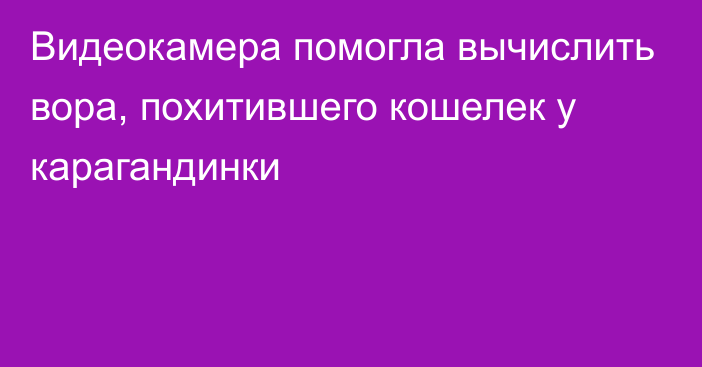 Видеокамера помогла вычислить вора, похитившего кошелек у карагандинки