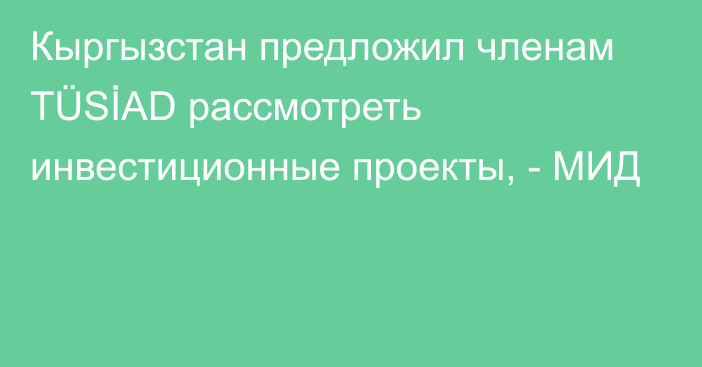 Кыргызстан предложил членам TÜSİAD рассмотреть инвестиционные проекты, - МИД