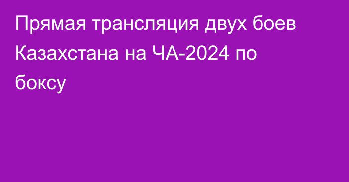 Прямая трансляция двух боев Казахстана на ЧА-2024 по боксу