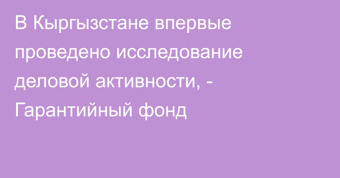 В Кыргызстане впервые проведено исследование деловой активности, - Гарантийный фонд