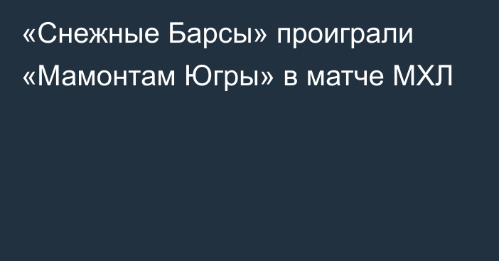 «Снежные Барсы» проиграли «Мамонтам Югры» в матче МХЛ