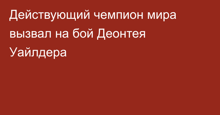 Действующий чемпион мира вызвал на бой Деонтея Уайлдера