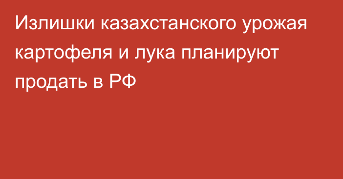 Излишки казахстанского урожая картофеля и лука планируют продать в РФ