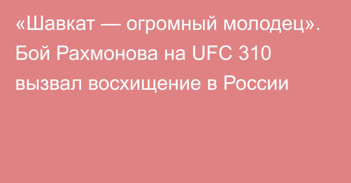 «Шавкат — огромный молодец». Бой Рахмонова на UFC 310 вызвал восхищение в России