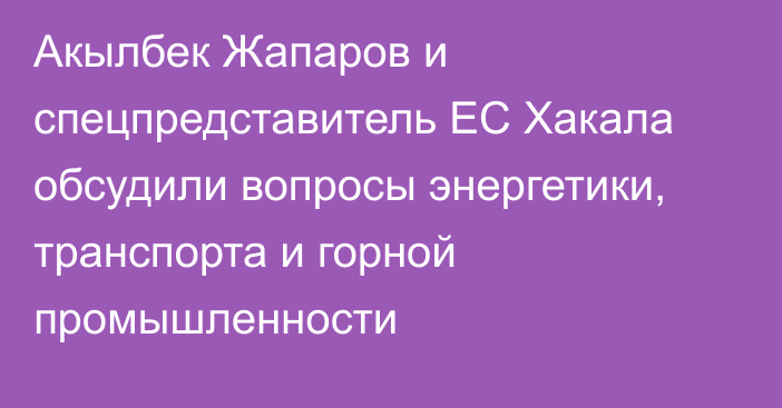 Акылбек Жапаров и спецпредставитель ЕС Хакала обсудили вопросы энергетики, транспорта и горной промышленности