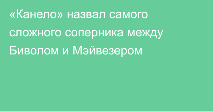 «Канело» назвал самого сложного соперника между Биволом и Мэйвезером