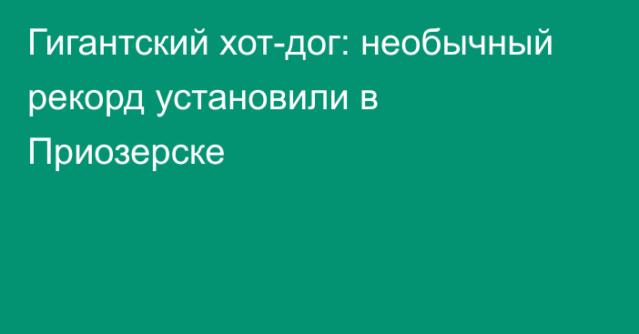 Гигантский хот-дог: необычный рекорд установили в Приозерске