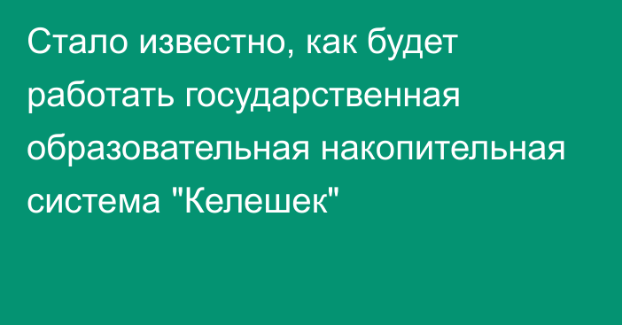 Стало известно, как будет работать государственная образовательная накопительная система 