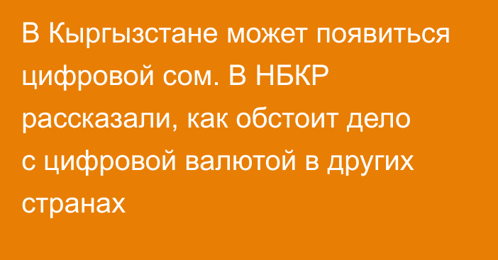 В Кыргызстане может появиться цифровой сом. В НБКР рассказали, как обстоит дело с цифровой валютой в других странах