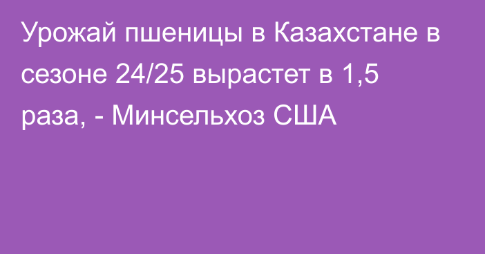 Урожай пшеницы в Казахстане в сезоне 24/25 вырастет в 1,5 раза, - Минсельхоз США