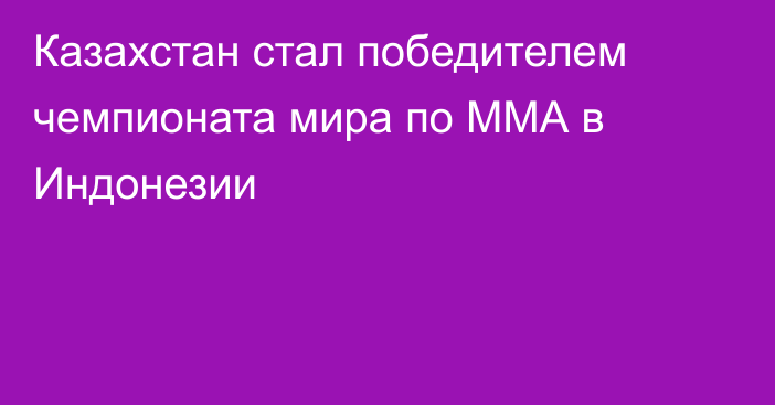 Казахстан стал победителем чемпионата мира по ММА в Индонезии