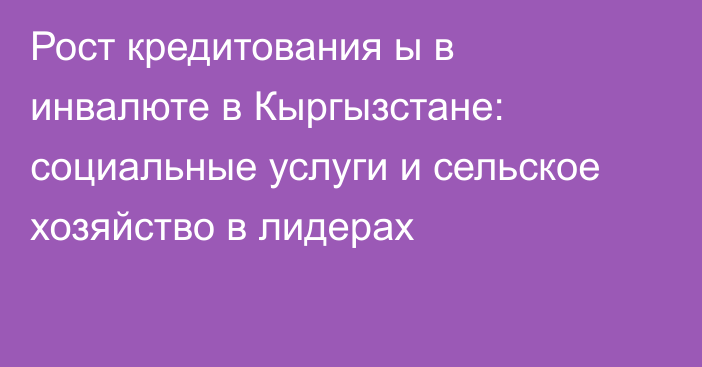 Рост кредитования ы в инвалюте в Кыргызстане: социальные услуги и сельское хозяйство в лидерах