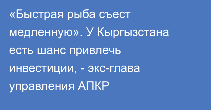 «Быстрая рыба съест медленную». У Кыргызстана есть шанс привлечь инвестиции, - экс-глава управления АПКР