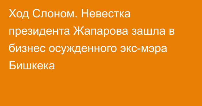 Ход Слоном. Невестка президента Жапарова зашла в бизнес осужденного экс-мэра Бишкека