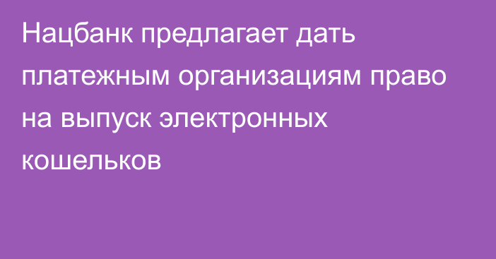 Нацбанк предлагает дать платежным организациям право на выпуск электронных кошельков