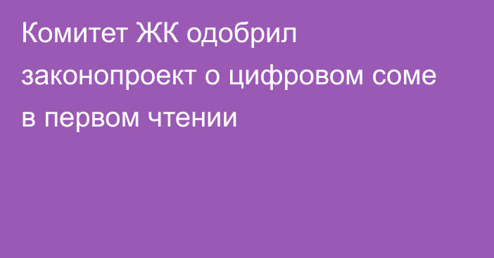 Комитет ЖК одобрил законопроект о цифровом соме в первом чтении