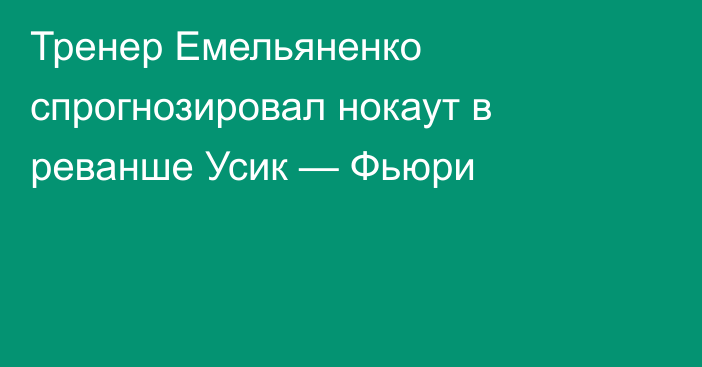 Тренер Емельяненко спрогнозировал нокаут в реванше Усик — Фьюри