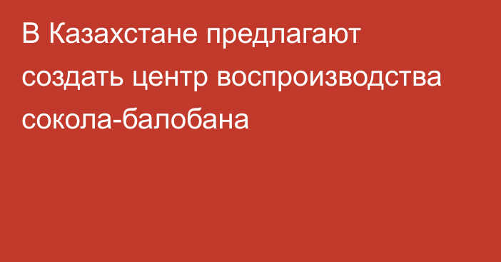 В Казахстане предлагают создать центр воспроизводства сокола-балобана