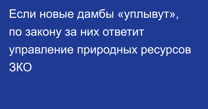 Если новые дамбы «уплывут», по закону за них ответит управление природных ресурсов ЗКО