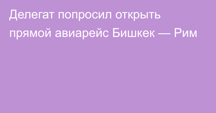 Делегат попросил открыть прямой авиарейс Бишкек — Рим