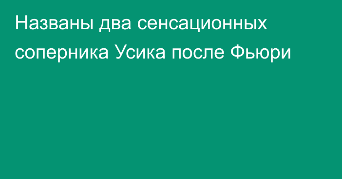 Названы два сенсационных соперника Усика после Фьюри