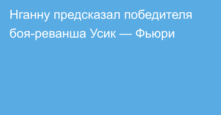 Нганну предсказал победителя боя-реванша Усик — Фьюри