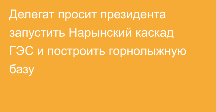 Делегат просит президента запустить Нарынский каскад ГЭС и построить горнолыжную базу