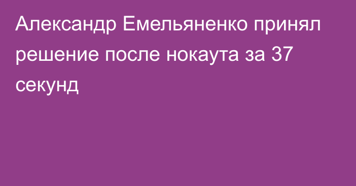 Александр Емельяненко принял решение после нокаута за 37 секунд