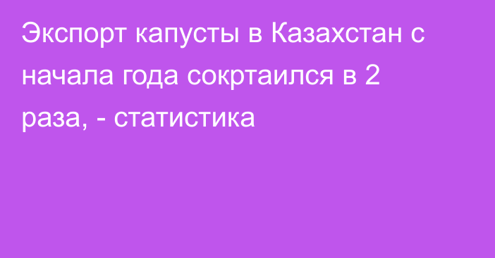 Экспорт капусты в Казахстан с начала года сокртаился в 2 раза, - статистика 