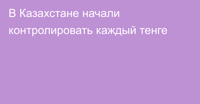 В Казахстане начали контролировать каждый тенге