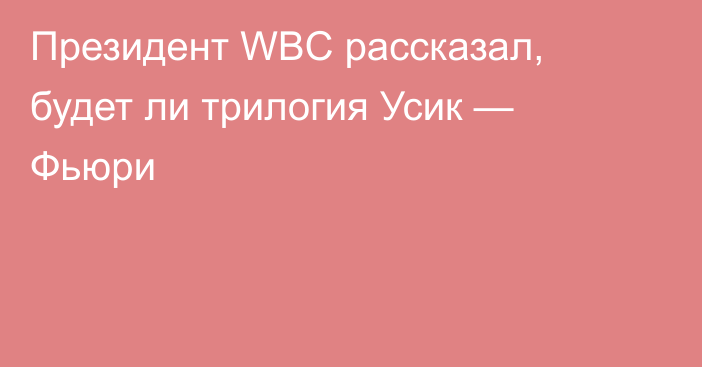 Президент WBC рассказал, будет ли трилогия Усик — Фьюри