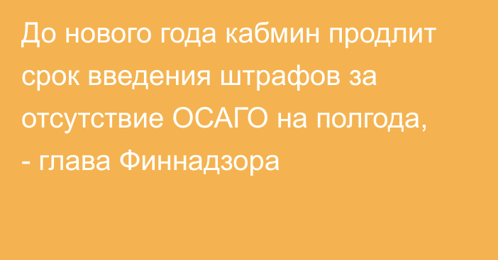 До нового года кабмин продлит срок введения штрафов за отсутствие ОСАГО на полгода, - глава Финнадзора