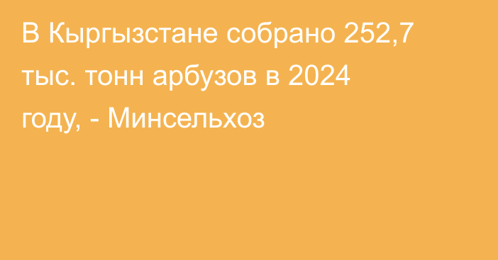 В Кыргызстане собрано 252,7 тыс. тонн арбузов в 2024 году, - Минсельхоз