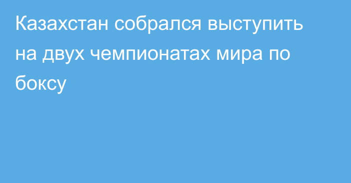 Казахстан собрался выступить на двух чемпионатах мира по боксу