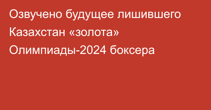 Озвучено будущее лишившего Казахстан «золота» Олимпиады-2024 боксера