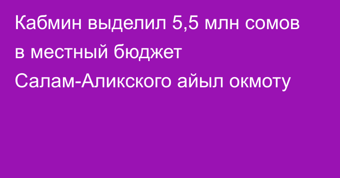 Кабмин выделил 5,5 млн сомов в местный бюджет Салам-Аликского айыл окмоту