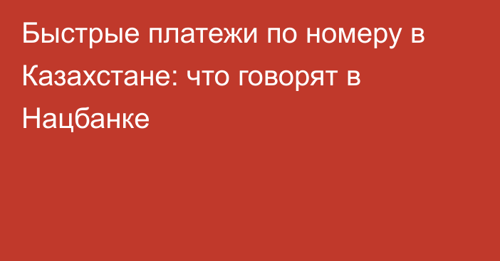 Быстрые платежи по номеру в Казахстане: что говорят в Нацбанке