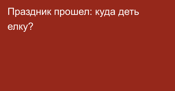 Праздник прошел: куда деть елку?