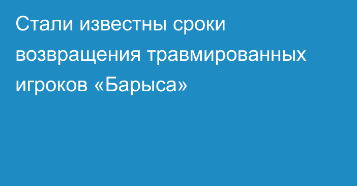 Стали известны сроки возвращения травмированных игроков «Барыса»