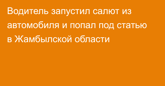 Водитель запустил салют из автомобиля и попал под статью в Жамбылской области