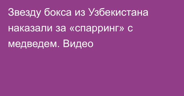 Звезду бокса из Узбекистана наказали за «спарринг» с медведем. Видео