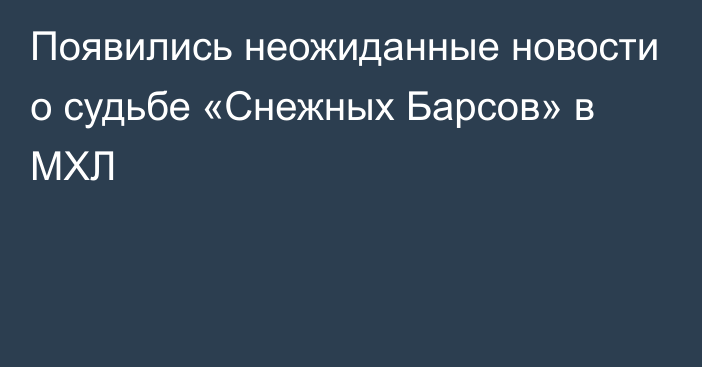 Появились неожиданные новости о судьбе «Снежных Барсов» в МХЛ