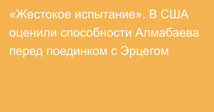 «Жестокое испытание». В США оценили способности Алмабаева перед поединком с Эрцегом