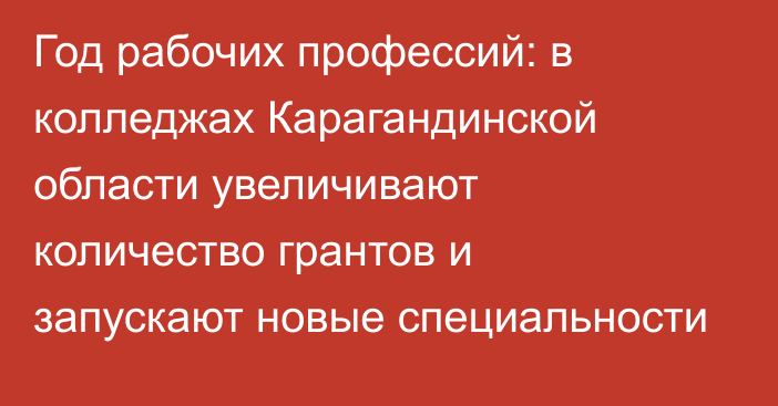 Год рабочих профессий: в колледжах Карагандинской области увеличивают количество грантов и запускают новые специальности