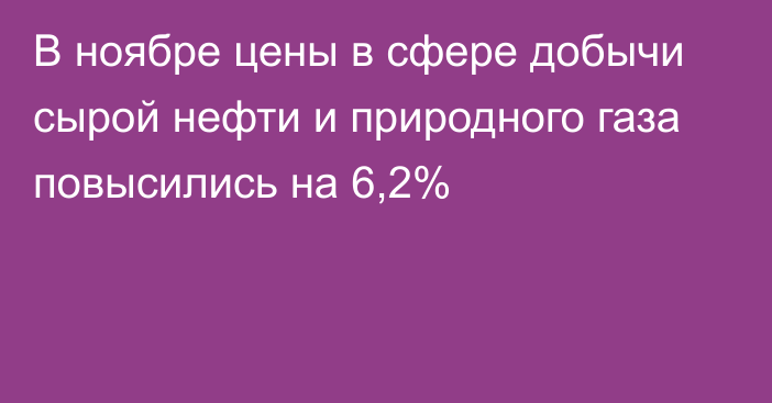 В ноябре цены в сфере добычи сырой нефти и природного газа повысились на 6,2%