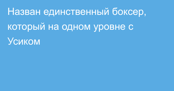 Назван единственный боксер, который на одном уровне с Усиком